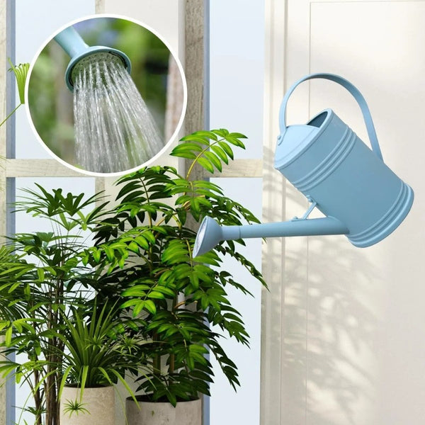 Plant Watering Can With Spray Head