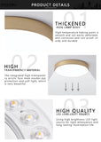 Modern Minimalist LED Flush Mount Ceiling Lamp