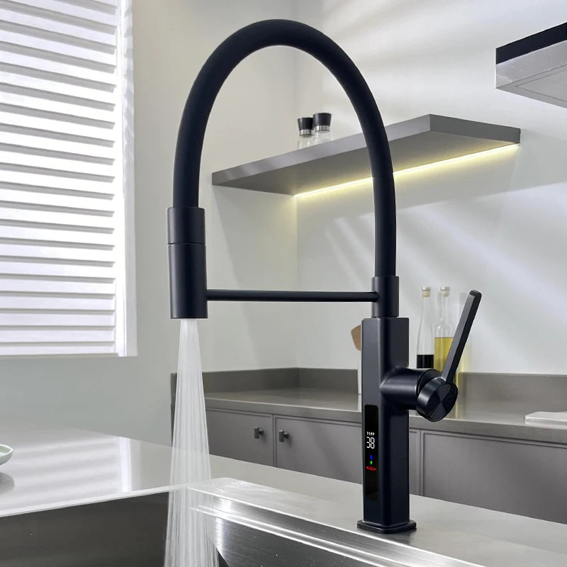 LED Panel Deck Mounted Flexible Hose Sink Kitchen Faucet