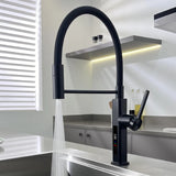 LED Panel Deck Mounted Flexible Hose Sink Kitchen Faucet