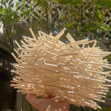 Rattan Bamboo Ceiling Hanging Lamp Pendant Light