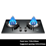 Integrated Double Gas Stove with Smart Timing