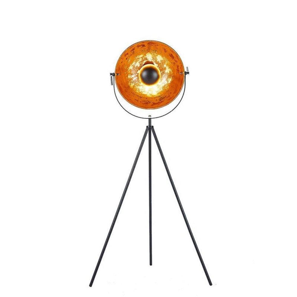 Loft Photo Studio Adjustable Angle Floor Lamp