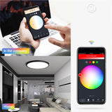 RGBCW Wi-Fi Smart LED Ceiling Light