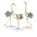 Blue Swan 3 Type