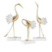 White Swan 3 Type