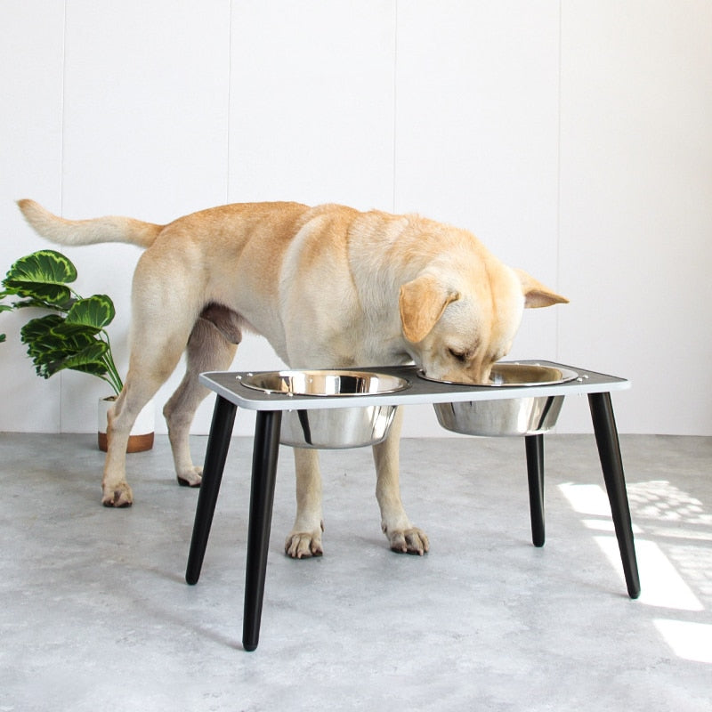 Elegant stainless steel Feeding bowl for large-capacity pets