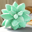 Succulent Plant Cushion Pillow