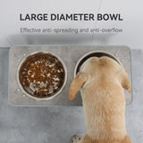 Elegant stainless steel Feeding bowl for large-capacity pets