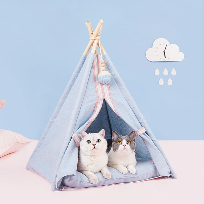 Cute and soft pet tent with cushion