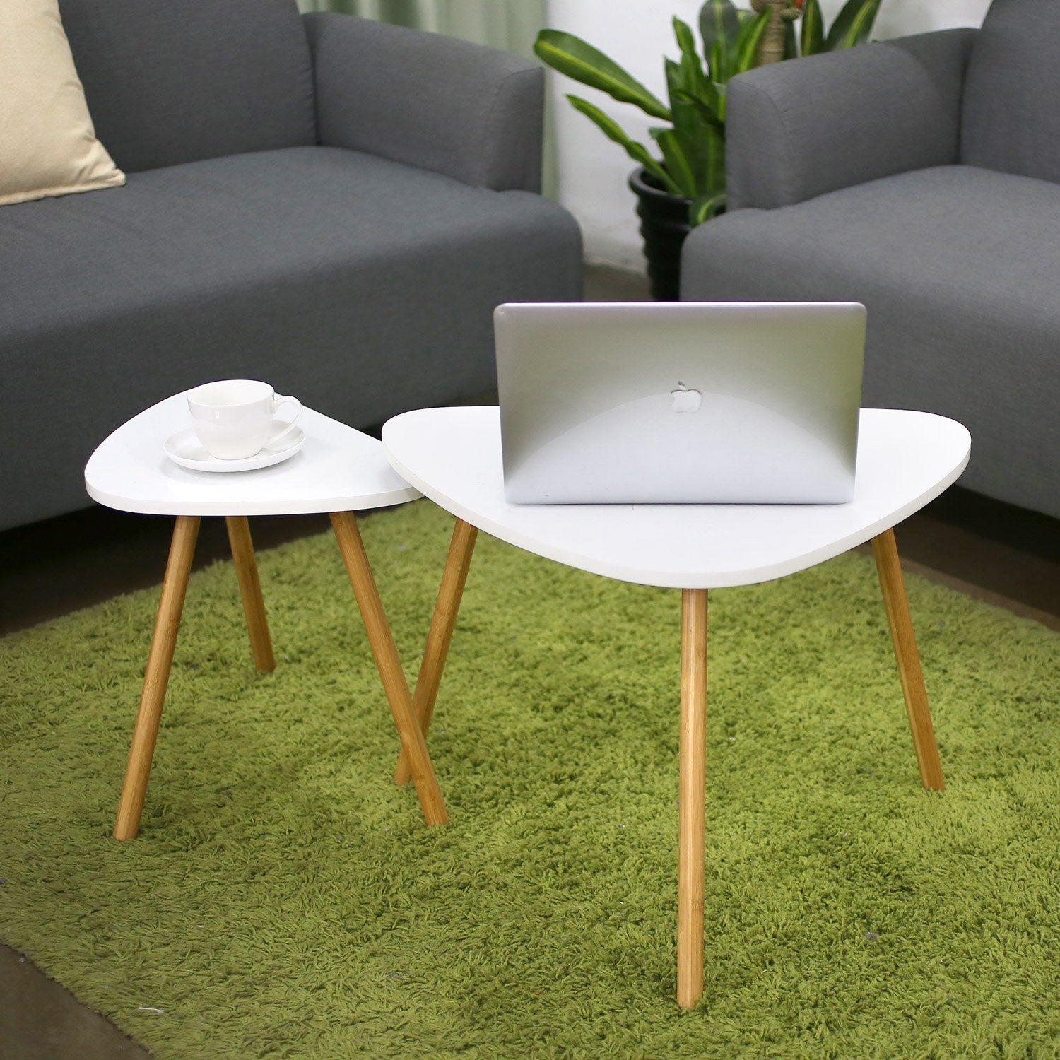 Modern Nesting  Coffee Table Set of 2