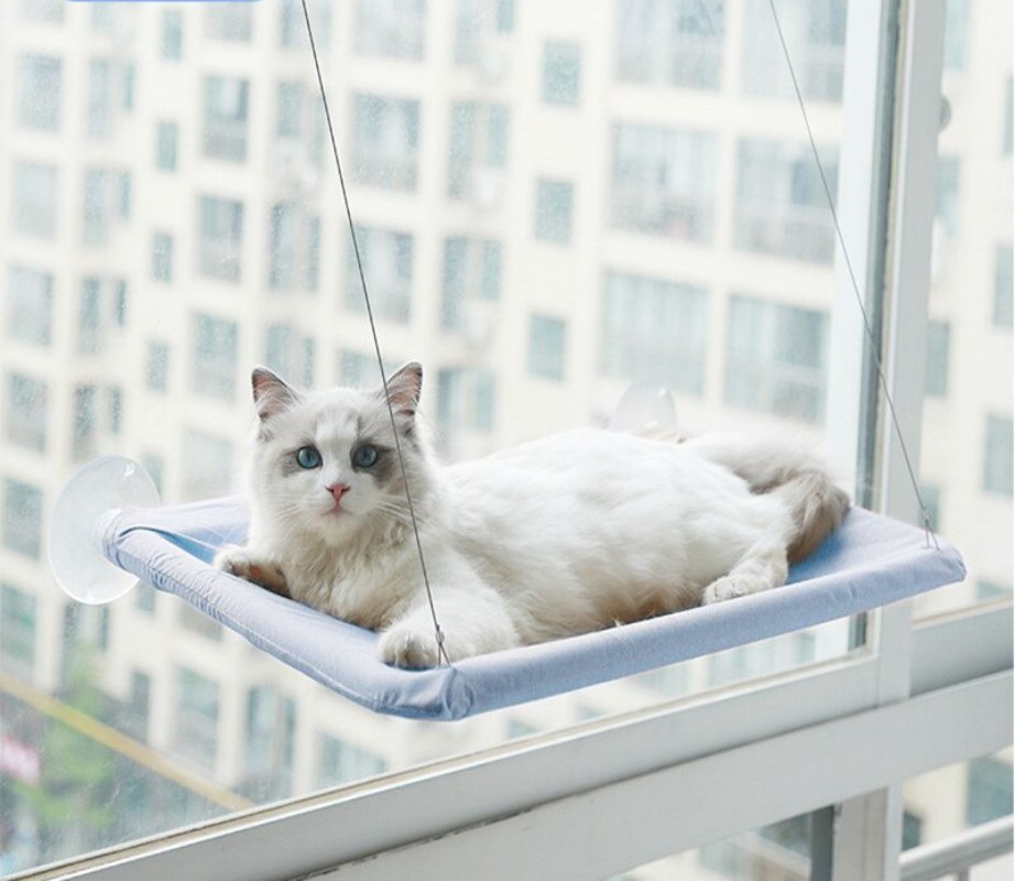 Cute Window Bed For Pets