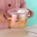 Pink Borosilicate Glass Cooking Pot