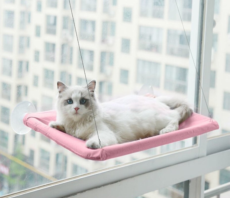 Cute Window Bed For Pets