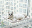 Cute Window Bed For Pets