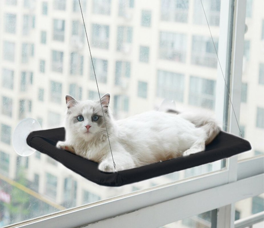 Cute Window Bed For Pets