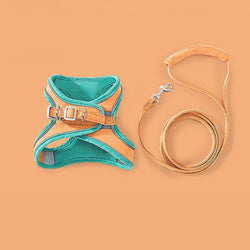 Harness and Leash Soft Padded Chest Strap Pet