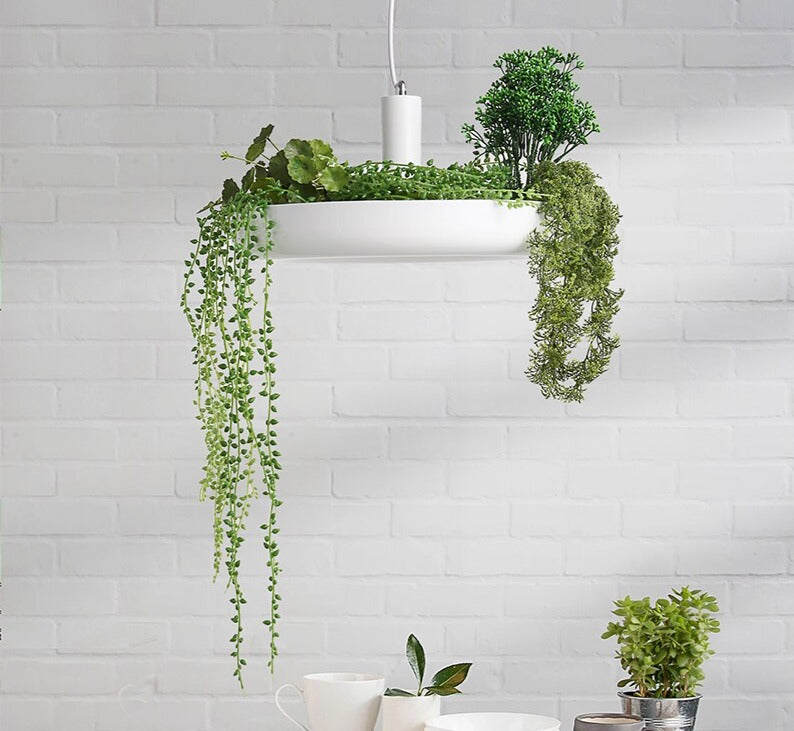 Modern Pendant Plant Pot Hanging Lamp