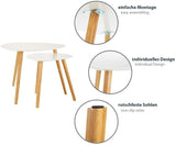 Modern Nesting  Coffee Table Set of 2