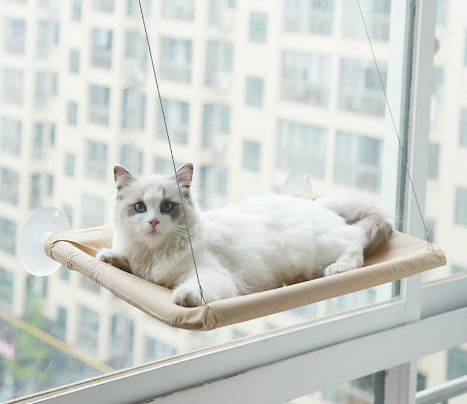 Cute Window Bed For Pets