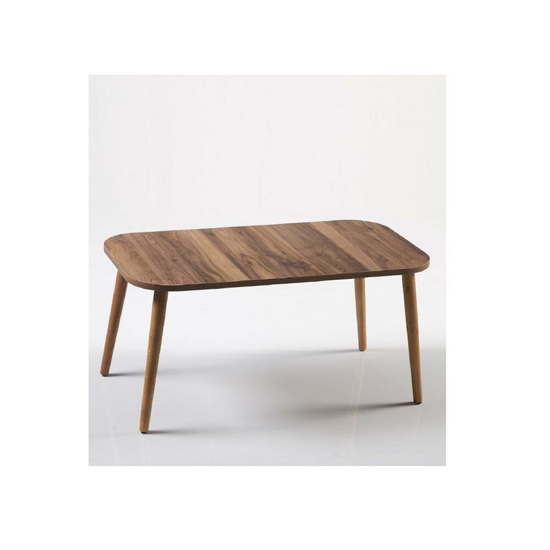 Nordic Wooden Coffee Table