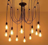 The Warmly Spider Chandelier