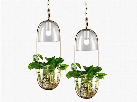 Modern Hanging Planter Lamp