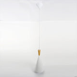 Modern Iron Pendant Light