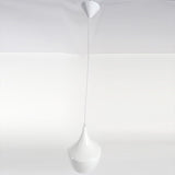 Modern Iron Pendant Light