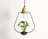 Modern Nordic Iron Pendant Planter Lamp