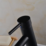 Stainless Steel Black Matte Finish Faucet