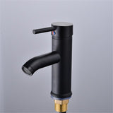 Stainless Steel Black Matte Finish Faucet