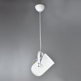 Modern Nordic Angled Drop Light