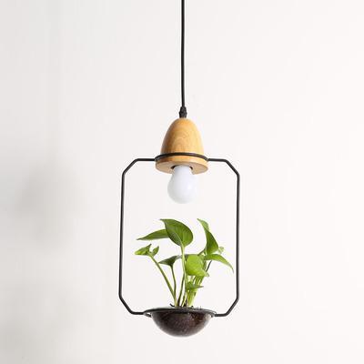 Modern Nordic Iron Pendant Planter Lamp