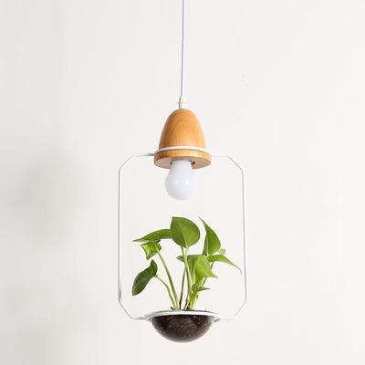 Modern Nordic Iron Pendant Planter Lamp