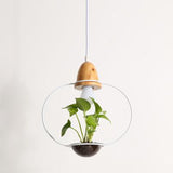 Modern Nordic Iron Pendant Planter Lamp