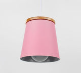 Modern Nordic Drop Down Lamp