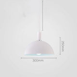 Modern Nordic Round Lampshade Hanging Light