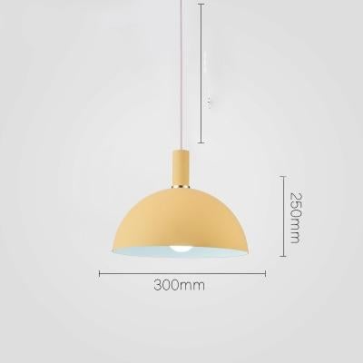 Modern Nordic Round Lampshade Hanging Light