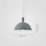 Modern Nordic Round Lampshade Hanging Light