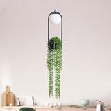 Sky Garden Planter Light