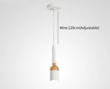 Nordic LED Brush Pendant Light