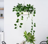 Modern Planter Lampshade