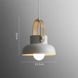 Modern Nordic LED Hanging Dome Lights